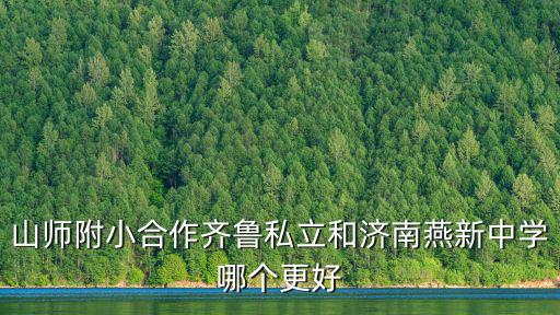 山師附小合作齊魯私立和濟南燕新中學哪個更好