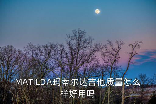 瑪蒂爾達音樂劇，mathilda的意思是瑪婷達還是瑪蒂爾達