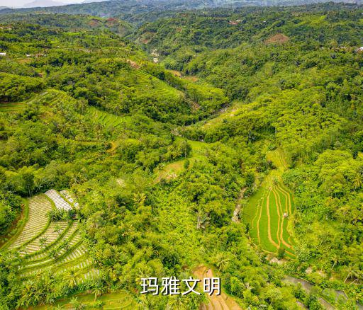 瑪雅文明