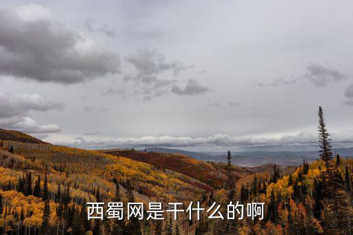 西蜀網是干什么的啊