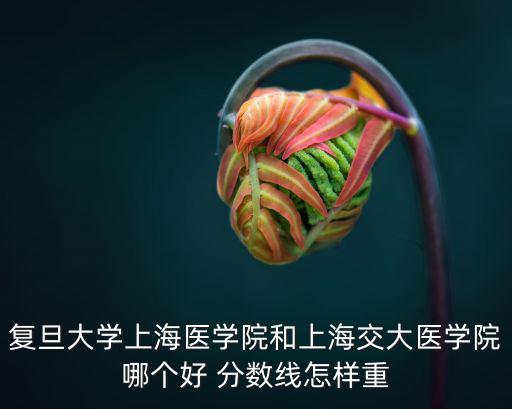 上海復(fù)旦醫(yī)學(xué)院，上海復(fù)旦醫(yī)科大學(xué)