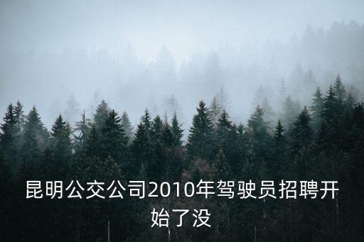 公交司機招聘，請問昆明公交公司明年什么時候招聘駕駛員啊呵呵謝謝