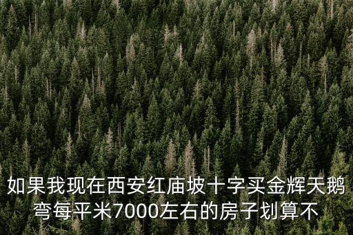 如果我現(xiàn)在西安紅廟坡十字買金輝天鵝彎每平米7000左右的房子劃算不