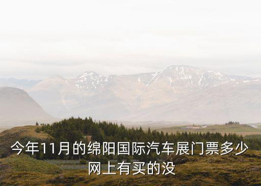 今年11月的綿陽國際汽車展門票多少 網上有買的沒