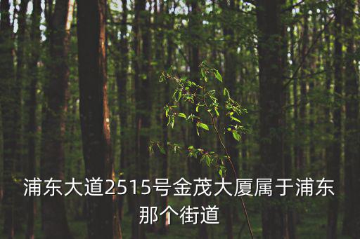 浦東大道2515號金茂大廈屬于浦東那個街道