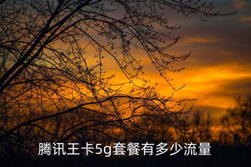 騰訊王卡5g套餐有多少流量