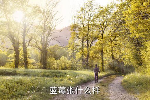 藍莓張什么樣