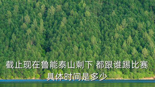 魯能泰山賽程，2008下半年山東魯能泰山隊(duì)賽程表