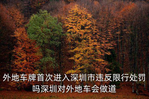 外地車牌首次進入深圳市違反限行處罰嗎深圳對外地車會做道