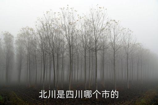 北川是四川哪個市的