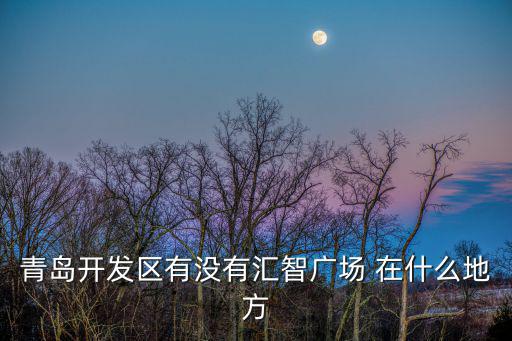 青島開發(fā)區(qū)有沒有匯智廣場 在什么地方