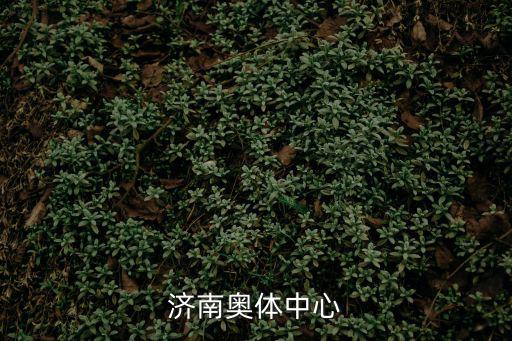 濟南奧體中心，濟南奧體中心