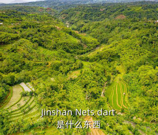 Jinshan Nets dart是什么東西