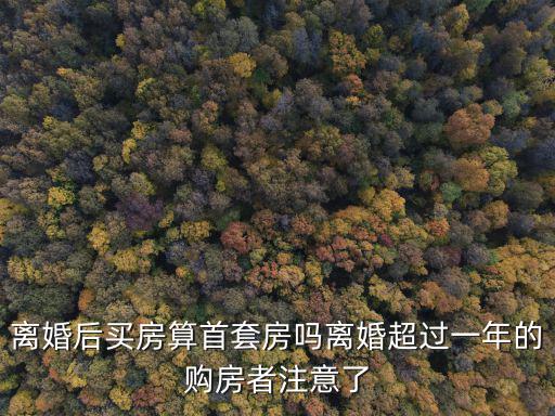 離婚后買房算首套房嗎離婚超過一年的購房者注意了