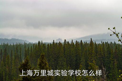萬里城實驗學校，有誰知道上海萬里城實驗學校情況嗎