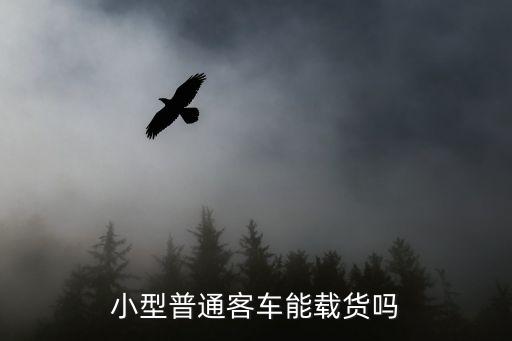 小型客貨車，小型普通客車能載貨嗎