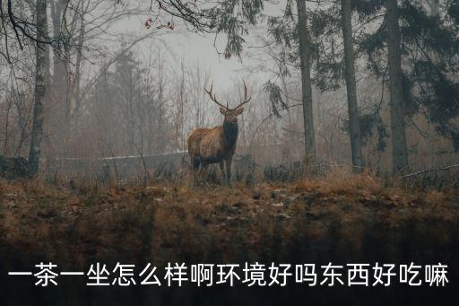 一茶一坐怎么樣啊環境好嗎東西好吃嘛
