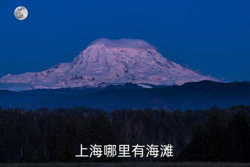 上海海邊，現(xiàn)在上海有哪些海灘