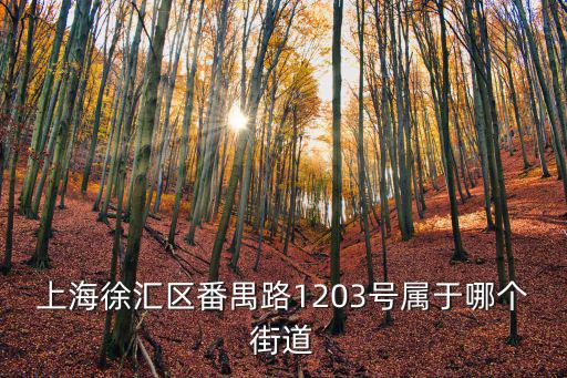 上海徐匯區(qū)番禺路1203號屬于哪個街道