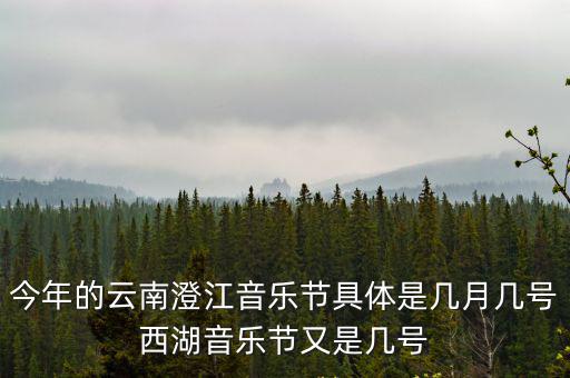 音樂節，2011云南麗江雪山音樂節