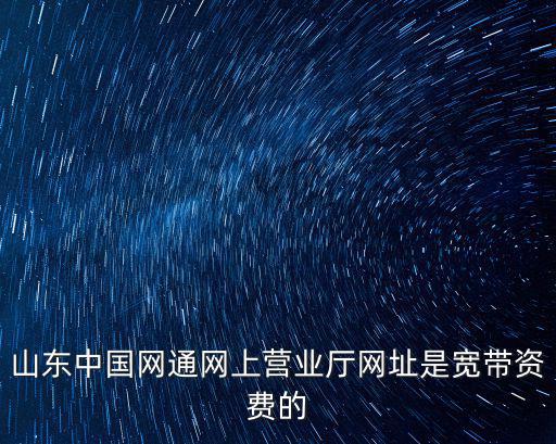 山東中國網通網上營業廳網址是寬帶資費的