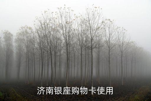 濟南銀座，濟南市有幾個銀座商場