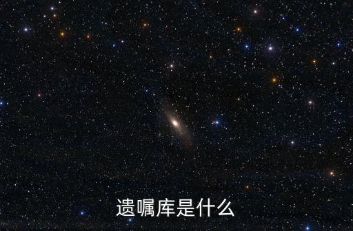 遺囑庫，遺囑庫是什么