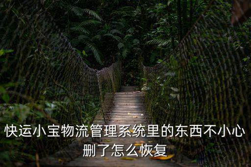 快運小寶物流管理系統里的東西不小心刪了怎么恢復