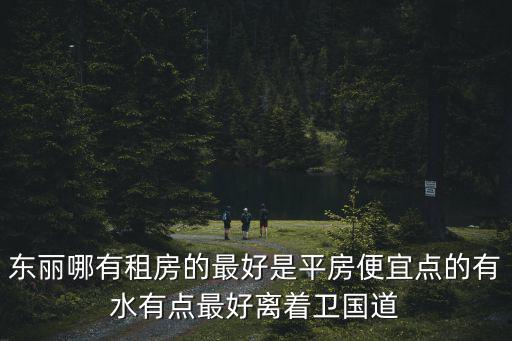 東麗哪有租房的最好是平房便宜點的有水有點最好離著衛國道
