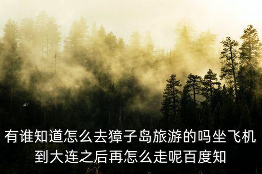 有誰知道怎么去獐子島旅游的嗎坐飛機到大連之后再怎么走呢百度知
