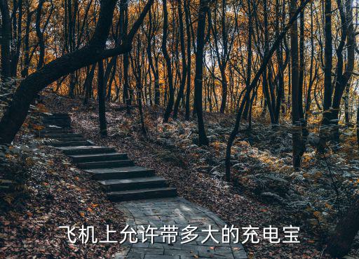 多大的充電寶可以帶上飛機，飛機上允許帶多大的充電寶