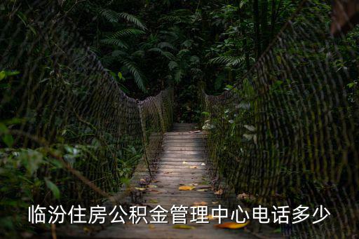 臨汾市住房公積金管理中心，求臨汾市住房公積金查詢網站