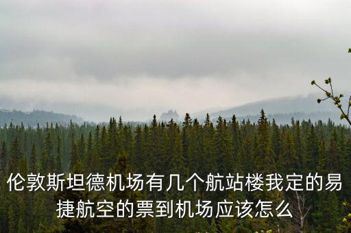 易捷航空，易捷航空買了機票沒有買托運行李可以補買嗎