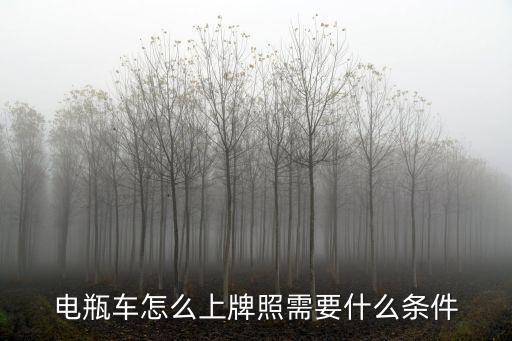 電瓶車怎么上牌照需要什么條件