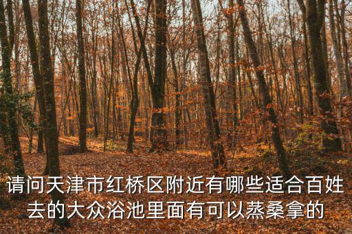 請問天津市紅橋區附近有哪些適合百姓去的大眾浴池里面有可以蒸桑拿的