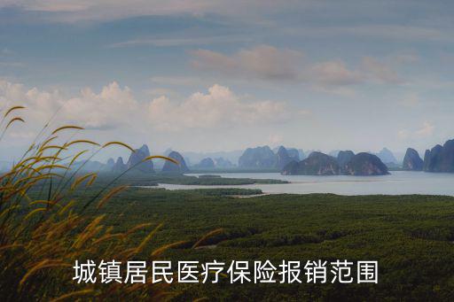 城鎮(zhèn)居民醫(yī)療保險報銷范圍