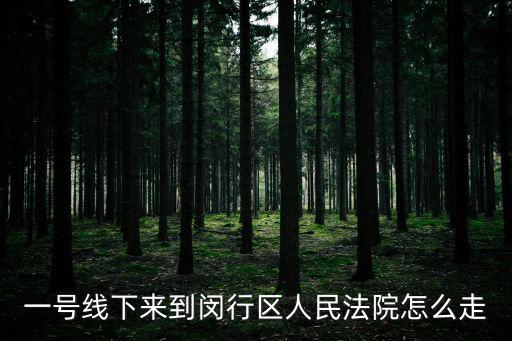 閔行區人民法院，一號線下來到閔行區人民法院怎么走