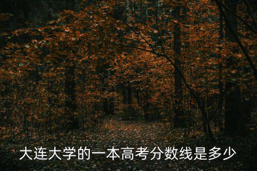 大連大學的一本高考分數線是多少