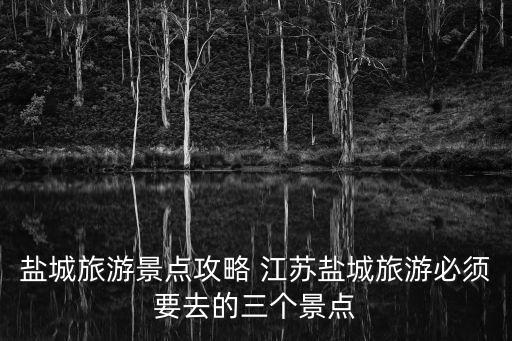 鹽城旅游景點攻略 江蘇鹽城旅游必須要去的三個景點