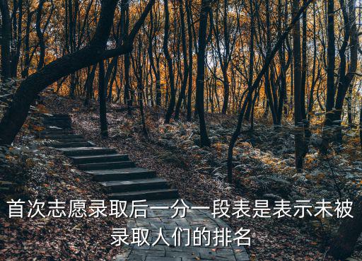首次志愿錄取后一分一段表是表示未被錄取人們的排名
