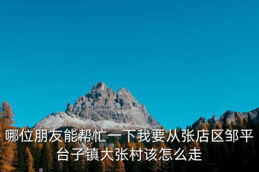 哪位朋友能幫忙一下我要從張店區鄒平臺子鎮大張村該怎么走