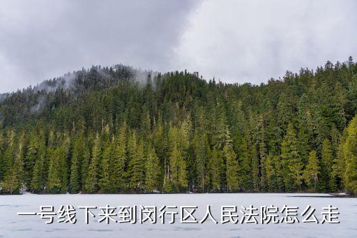 一號線下來到閔行區(qū)人民法院怎么走