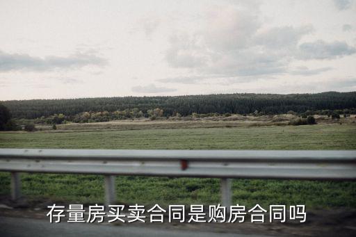 存量房買賣合同，存量房買賣合同怎么寫