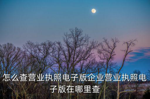 怎么查營業執照電子版企業營業執照電子版在哪里查
