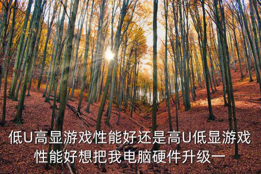 高顯，低U高顯游戲性能好還是高U低顯游戲性能好想把我電腦硬件升級一