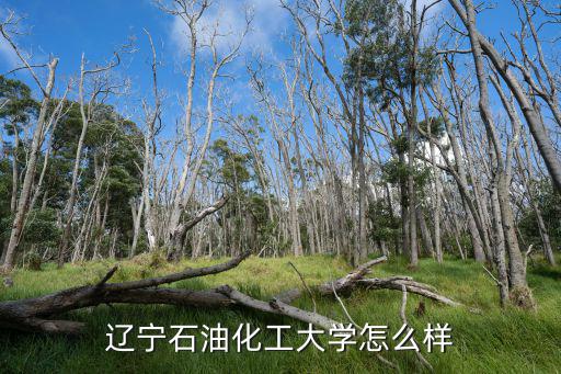 遼寧石油化工大學怎么樣