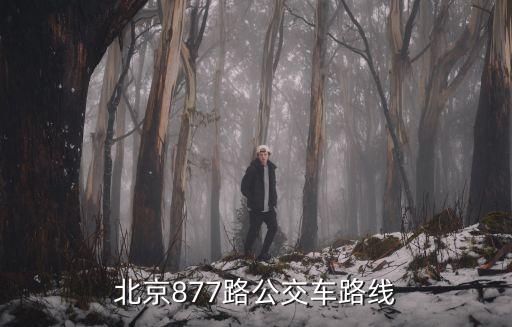 北京877路公交車路線