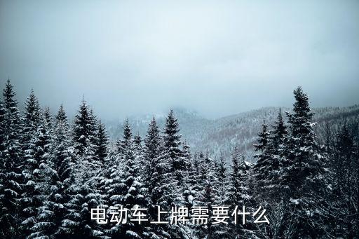電動車上牌需要什么