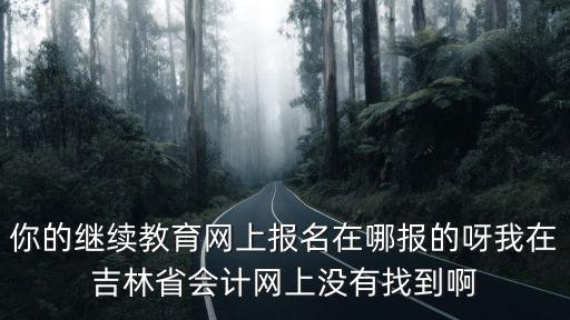 你的繼續教育網上報名在哪報的呀我在吉林省會計網上沒有找到啊