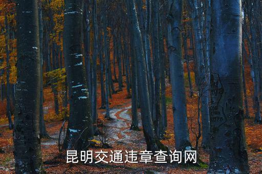 昆明交通違章查詢網(wǎng)